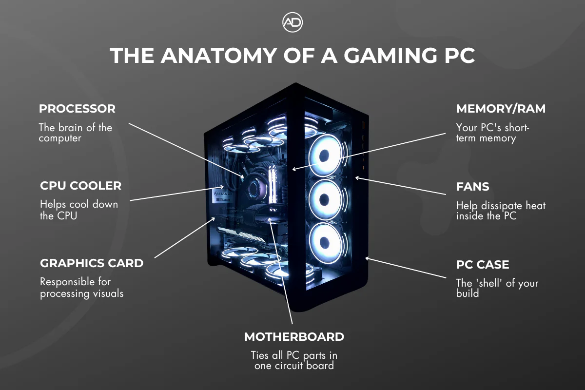 pc_anatomy.png